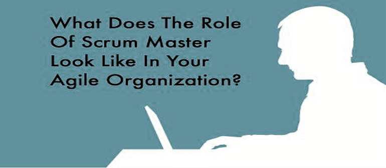Mixed Martial DevOps vs.The Scrum Master