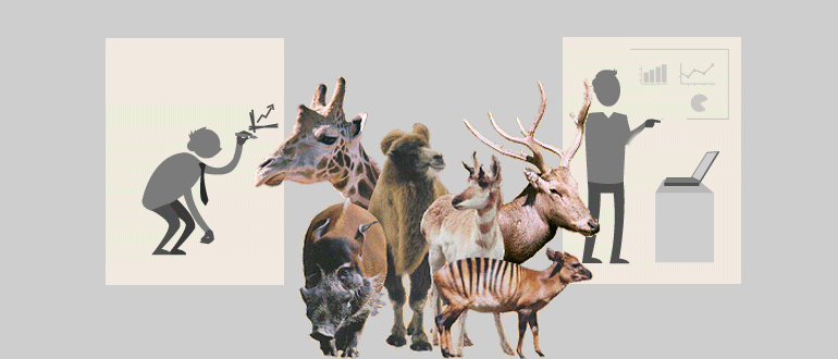ADOC evolution