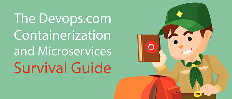 The env-devopsy-dev2.kinsta.cloud Containerization and Microservices Survival Guide