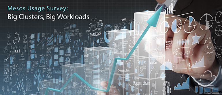 Mesos Usage Survey: Big Clusters, Big Workloads