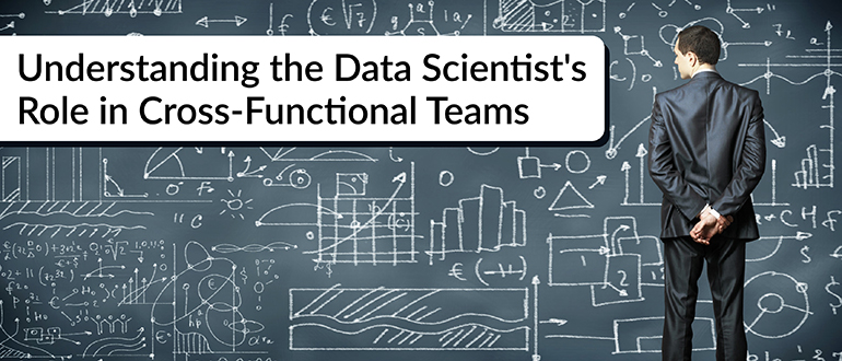 Understanding the Data Scientist's Role in Cross-Functional Teams