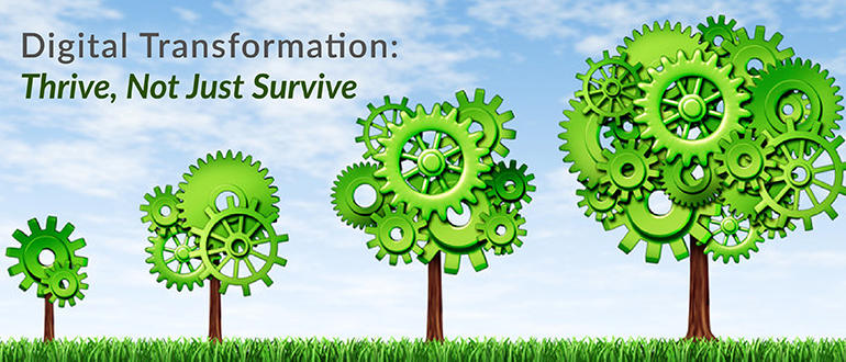 Digital Transformation: Thrive, Not Just Survive