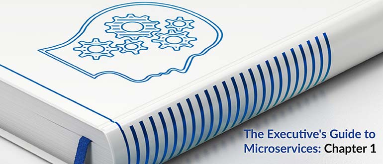 The Executive's Guide to Microservices: Chapter 1