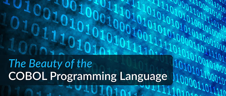 COBOL Programming Language