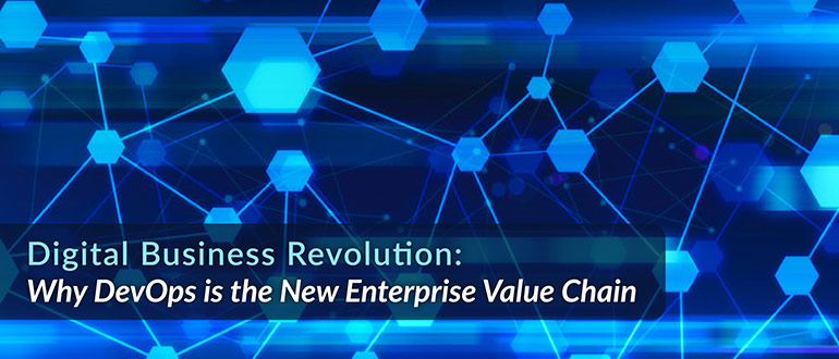 Business Enterprise Value Chain